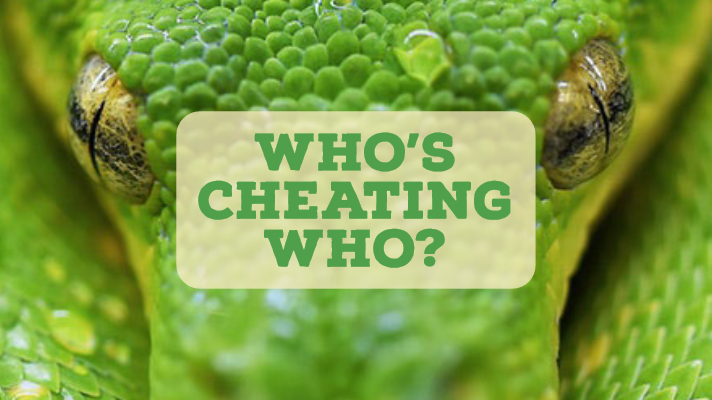 Who's Cheating Who?